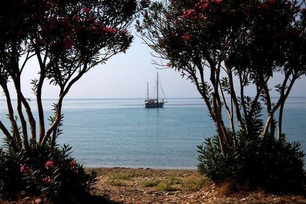 Dreams Beach Apartments קאטליוס מראה חיצוני תמונה